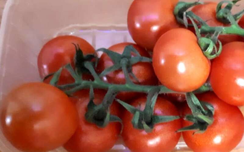 Ученые работают над созданием острых помидоров