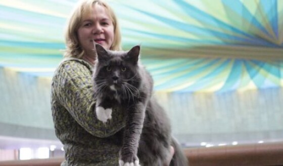 В Киеве выбрали самого большого кота Украины