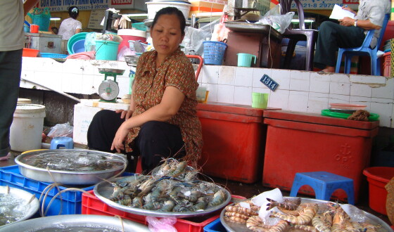 В&#8217;єтнам заборонив торгівлю дикими тваринами і їх ввезення в країну