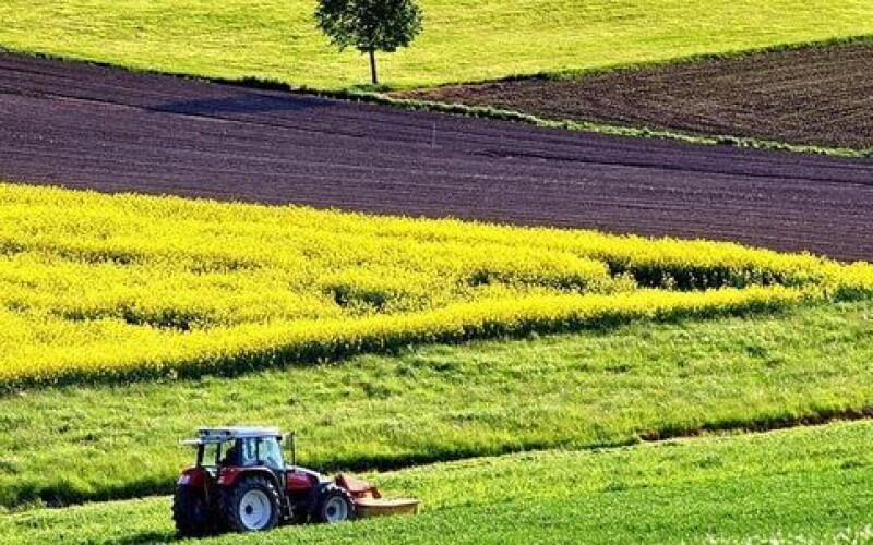 Стала відома вартість оренди сільськогосподарських земель у різних регіонах України
