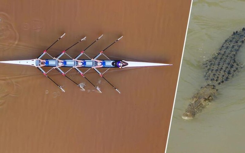 В Австралії на Олімпіаді-2032 веслувальники змагатимуться на річці з крокодилами