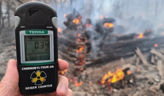Стало відомо, як виникла пожежа в зоні відчуження Чорнобильської АЕС