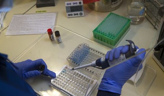 У Росії щодоби проводять більше 300 тисяч тестів на коронавірус