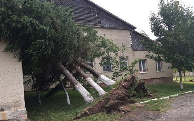 У Закарпатті ураган заблокував роботу пункту пропуску з Угорщиною