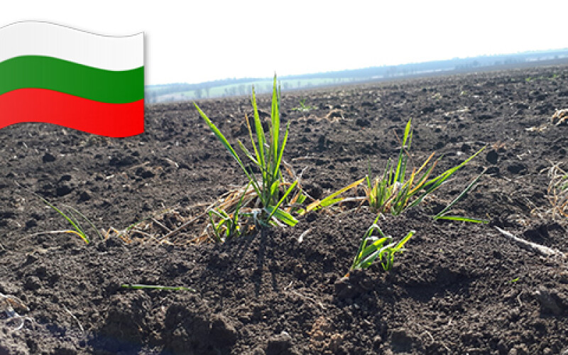 В Болгарии хотят разрешить продавать сельхоз землю иностранцам