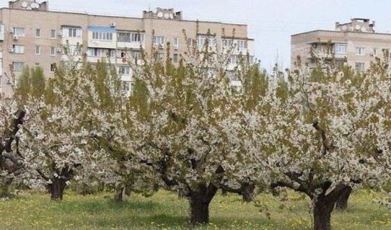 Окупанти знищили історичну візитівку Мелітополя