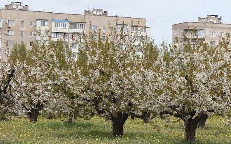 Окупанти знищили історичну візитівку Мелітополя