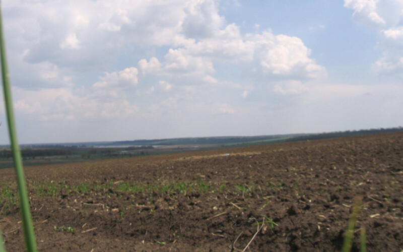 В Украине сложились неблагоприятные условия для сева озимых