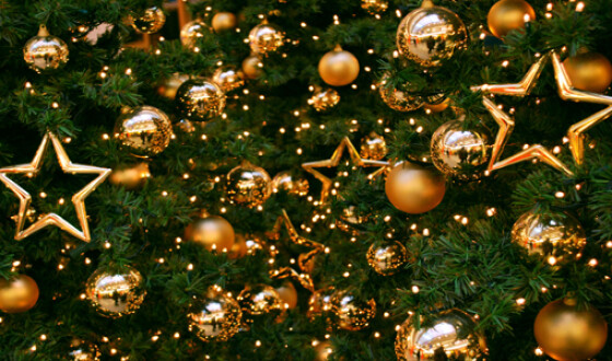 Главную новогоднюю елку Украины откроют 19 декабря