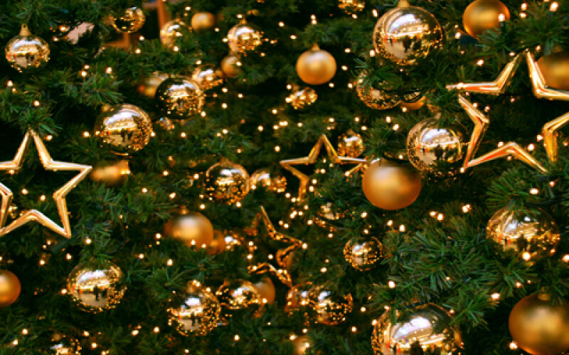 Главную новогоднюю елку Украины откроют 19 декабря