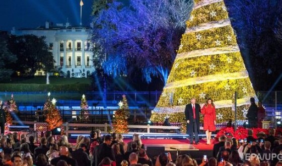 В Вашингтоне мужчина забрался на елку перед Белым домом