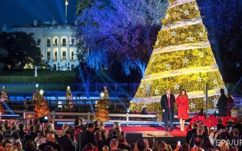 В Вашингтоне мужчина забрался на елку перед Белым домом