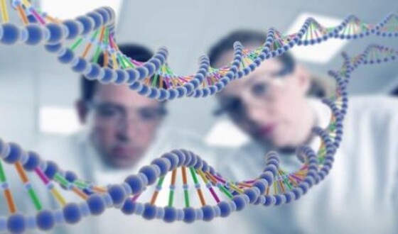 Ученые: Алкоголь меняет ДНК человека