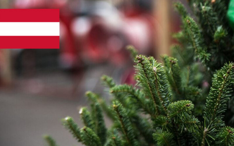 В рождественский сезон на рынок Австрии поступает 2,5 миллиона ёлок