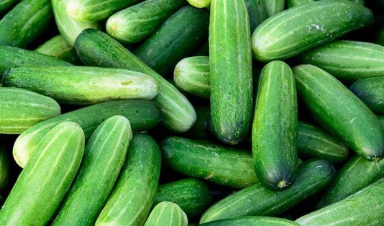 В Україні дорожчають огірки