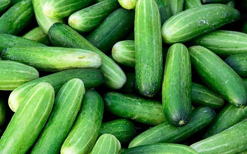 В Україні дорожчають огірки