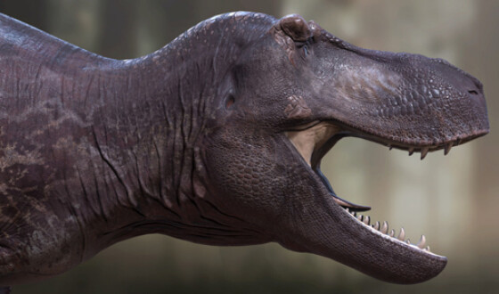 Воссоздан самый точный портрет тираннозавра