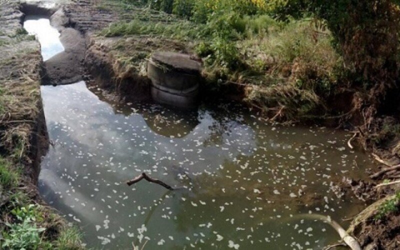У Донецькій області міста залишилися без води через аварію
