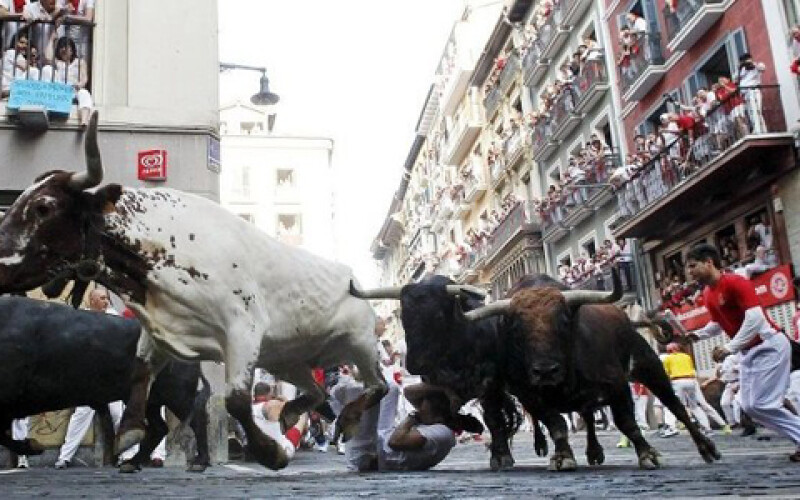 Во время забега с быками в Испании погиб человек