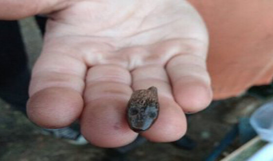 Знайшли амулет у формі змії, якому 4,5 тис. років