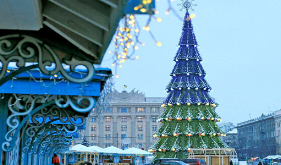 Рекорд: елка в Харькове признана самой высокой в Украине
