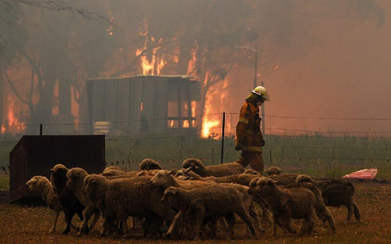 В Австралії лісова пожежа знищила десятки житлових будинків
