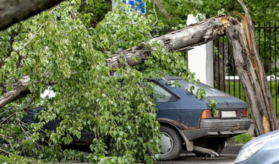 Ураган на Полтавщине: на женщину с детьми упало дерево
