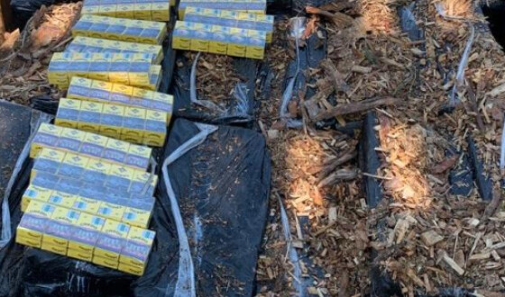 Прикордоники виявили замасковану контрабанду у вантажному поїзді з лісоматеріалами