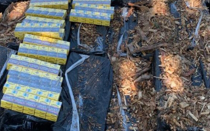 Прикордоники виявили замасковану контрабанду у вантажному поїзді з лісоматеріалами