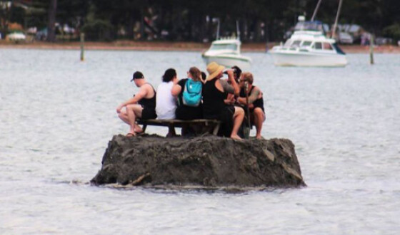 Новозеландцы построили остров, чтобы обойти запрет на распитие алкоголя