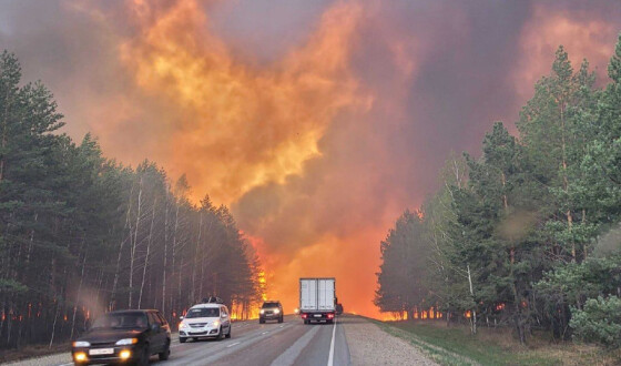 Соцмережі публікують фото масштабних пожеж у Курганській області РФ