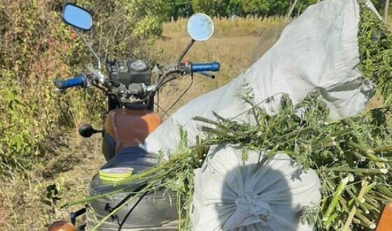 На Житомирщині мотоцикліст перевозив шість мішків наркотиків. ФОТО