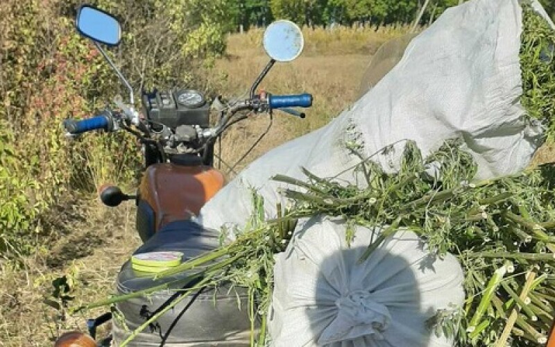 На Житомирщині мотоцикліст перевозив шість мішків наркотиків. ФОТО