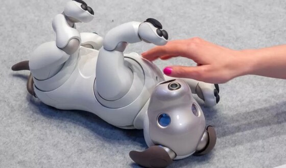 Sony знайде нові сім&#8217;ї для роботів-собак Aibo