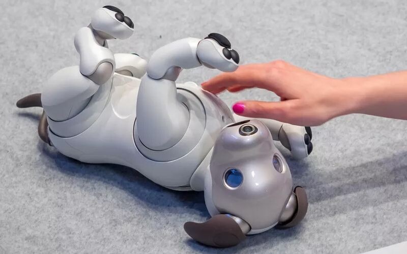 Sony знайде нові сім&#8217;ї для роботів-собак Aibo