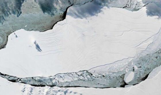 Отколовшийся от Антарктиды гигантский айсберг за год не сдвинулся с места