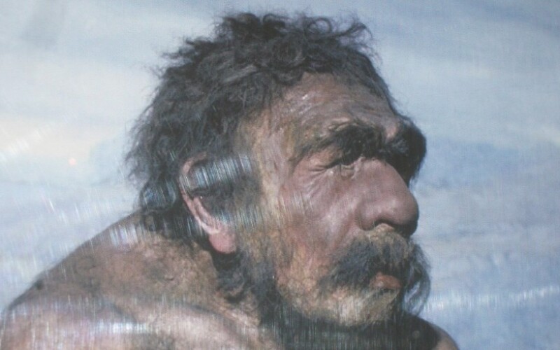Ученые установили причину вымирания неандертальцев