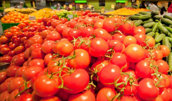 Украина экспортировала минимальный объем томатов за последние 12 лет