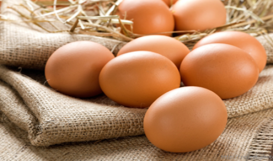 Украина стала ведущим поставщиком яиц на рынки стран ЕС