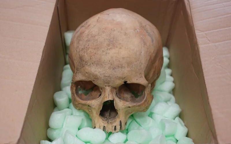 Німець повернув вкрадений череп до віденського собору Святого Стефана через 60 років