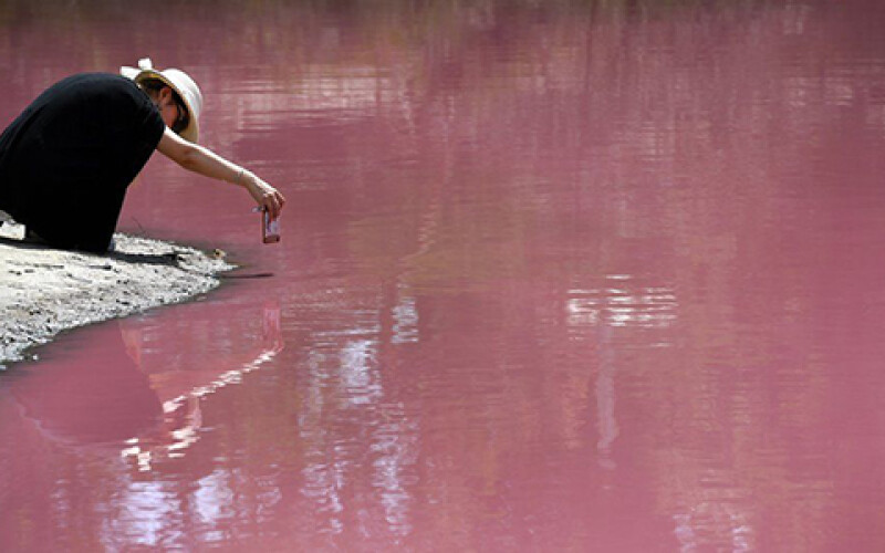 Экологи рассказали, чем опасно для людей розовое озеро в Австралии