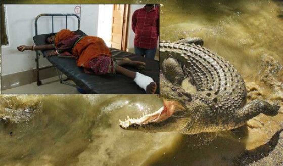 Жінка годину боролася за життя у сутичці з крокодилом і вижила. Фото