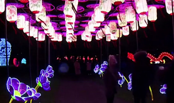 В Эстонии проходит масштабный фестиваль фонарей. Фото