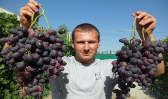 Благодаря винограду парень попал в Реестр рекордов Украины