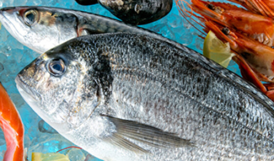 Экспорт рыбы и ракообразных принес Украине $8 млн с начала года