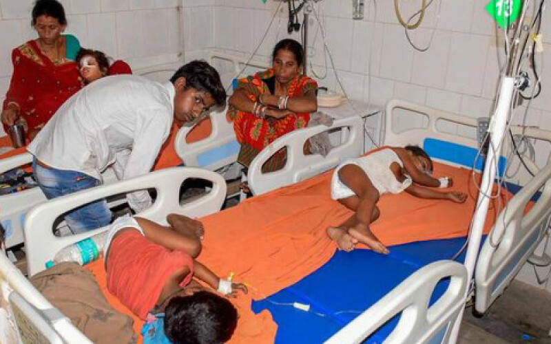 В Індії понад 50 дітей померли після вживання в їжу лічі