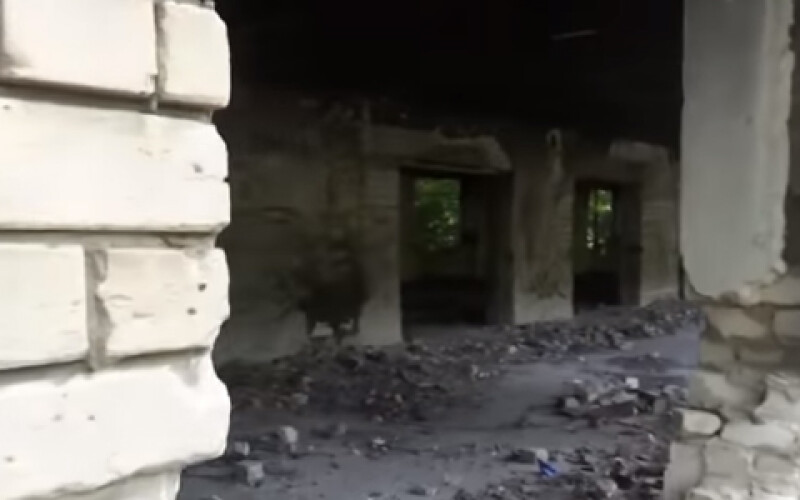 В Запорожье спасли малыша, которого нашли в руинах заброшенного здания