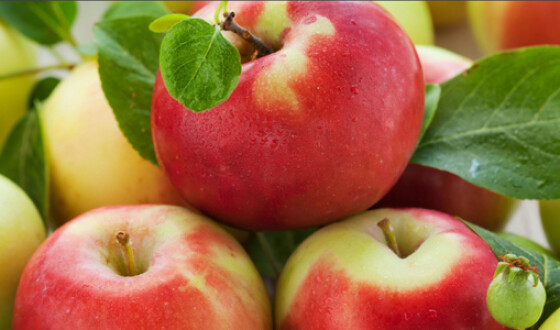 В Україні аграрії очікують гарний врожай яблук