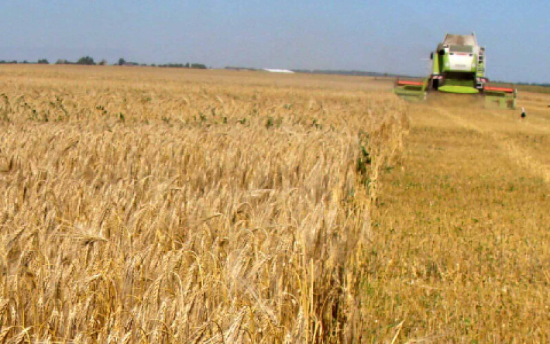 В двух областях Украины стартовала жатва