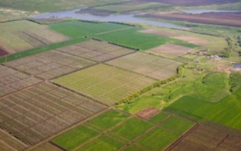 В Україні можуть з’явитися консультанти з купівлі землі